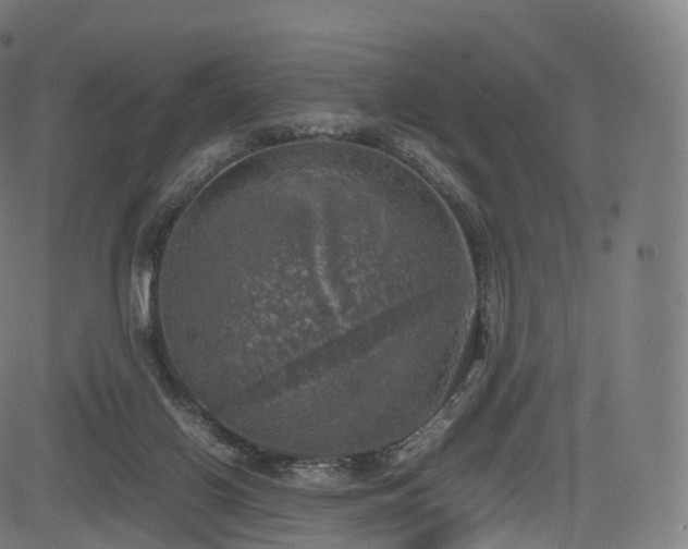 X0000085250070200703091309