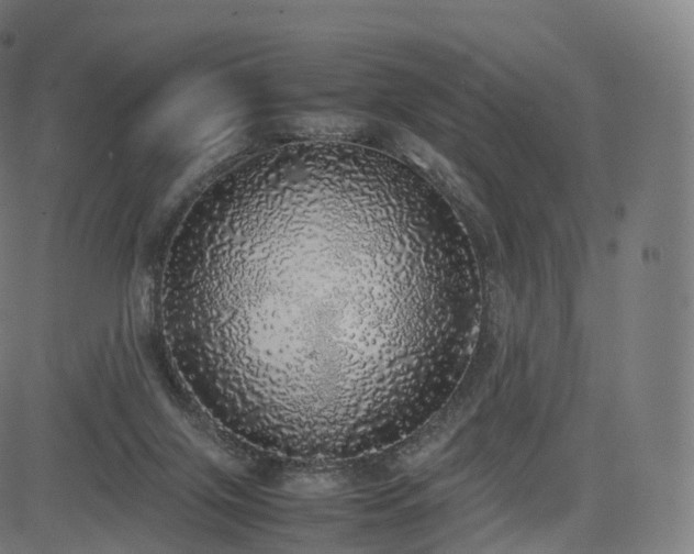 X0000085250071200703091309