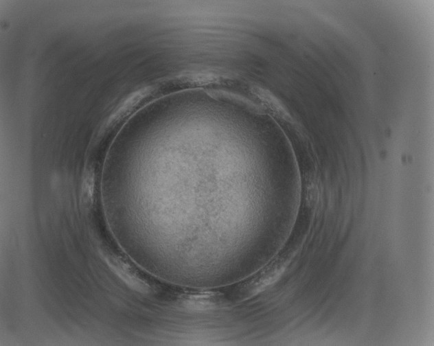 X0000085250072200703091309