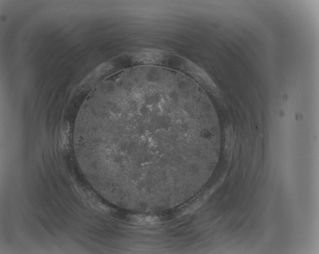 X0000085250073200703091309