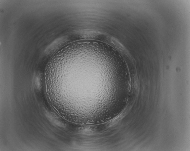 X0000085250074200703091309