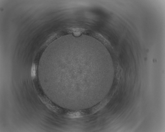 X0000085250075200703091309