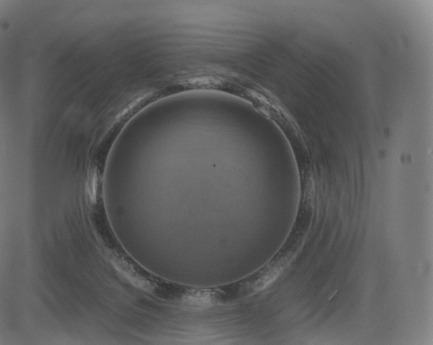 X0000085250076200703091309