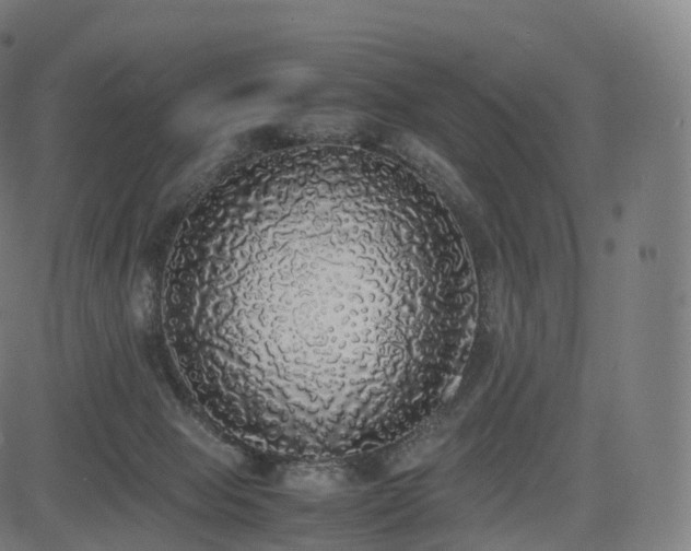 X0000085250077200703091309