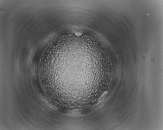 X0000085250078200703091309