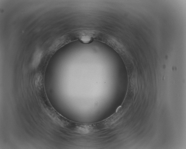 X0000085250079200703091309