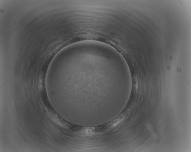 X0000085250080200703091309