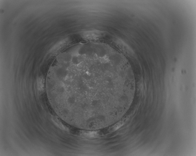 X0000085250081200703091309