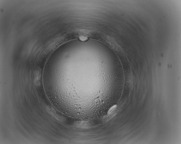 X0000085250082200703091309