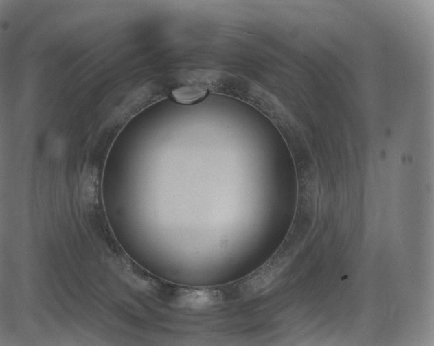 X0000085250083200703091309