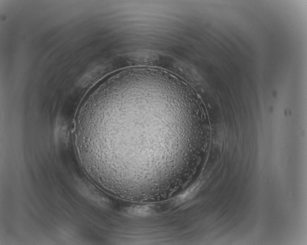 X0000085250086200703091309