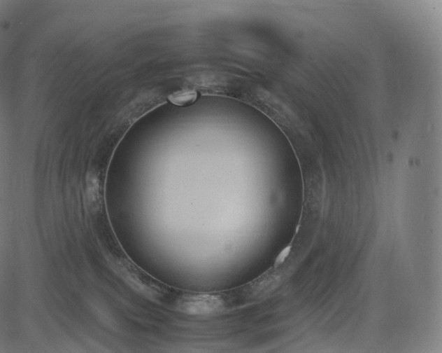 X0000085250087200703091309