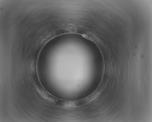 X0000085250088200703091309