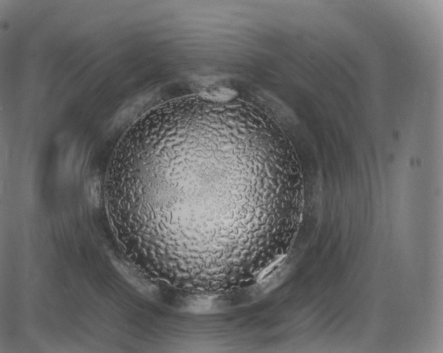 X0000085250090200703091309