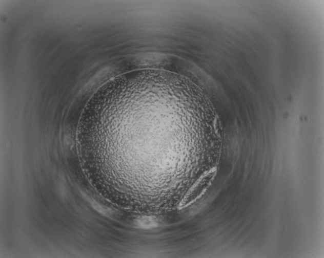 X0000085250091200703091309