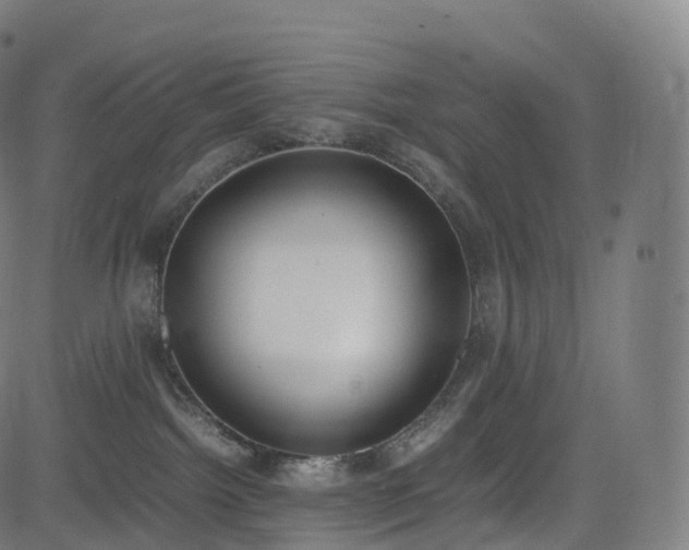 X0000085250092200703091309