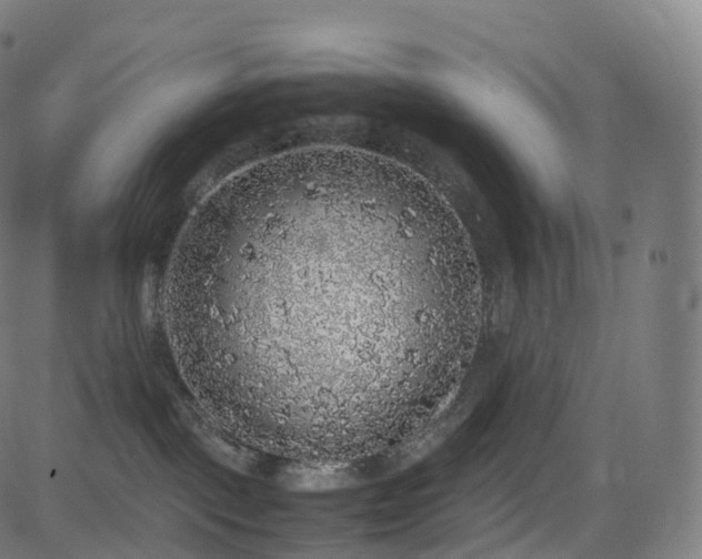 X0000085250093200703091309