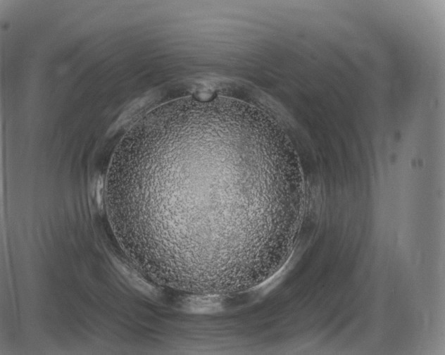 X0000085250094200703091309