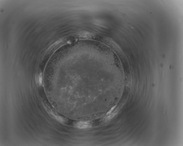 X0000085250095200703091309