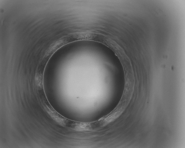 X0000085250096200703091309