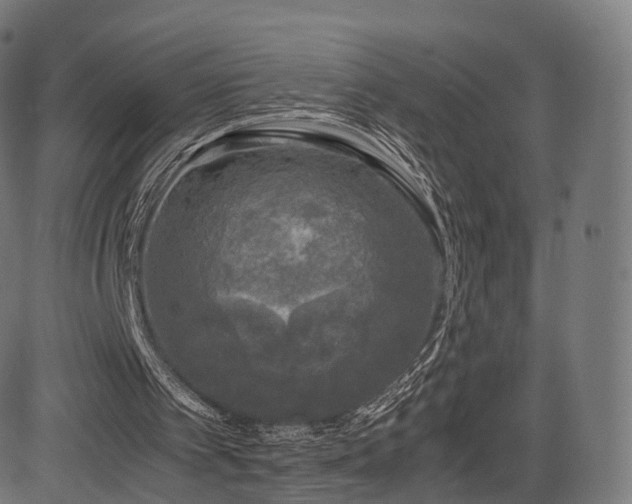 X0000085250097200703091308