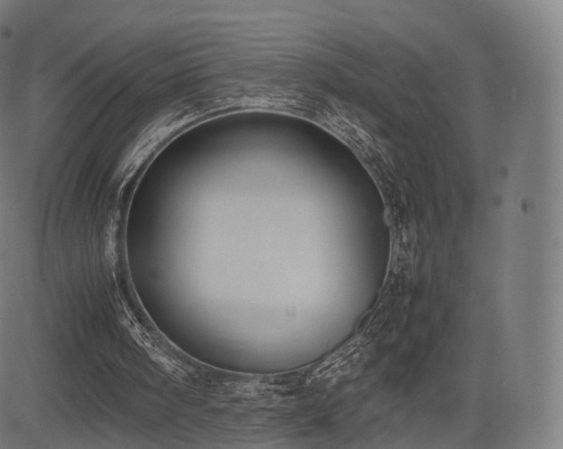 X0000085250098200703091308