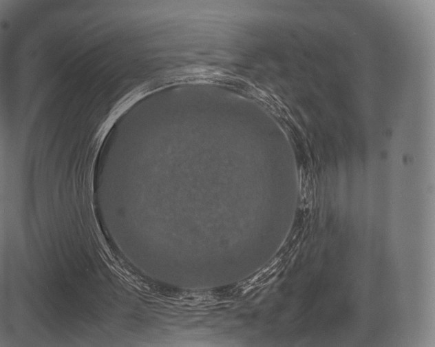 X0000085250099200703091308