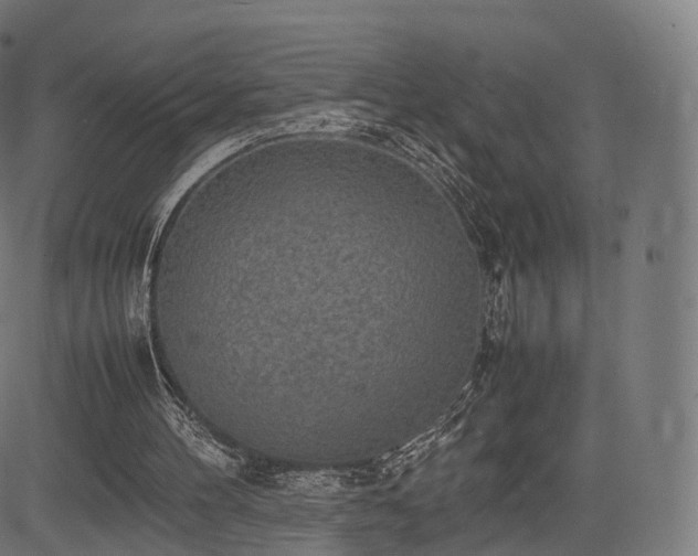 X0000085250100200703091308