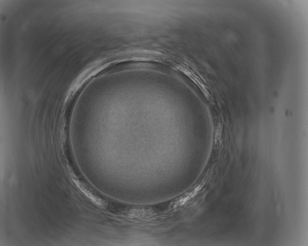 X0000085250101200703091308