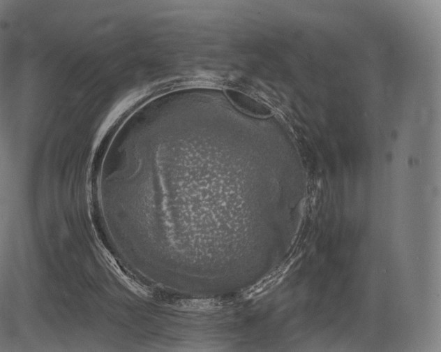 X0000085250102200703091308