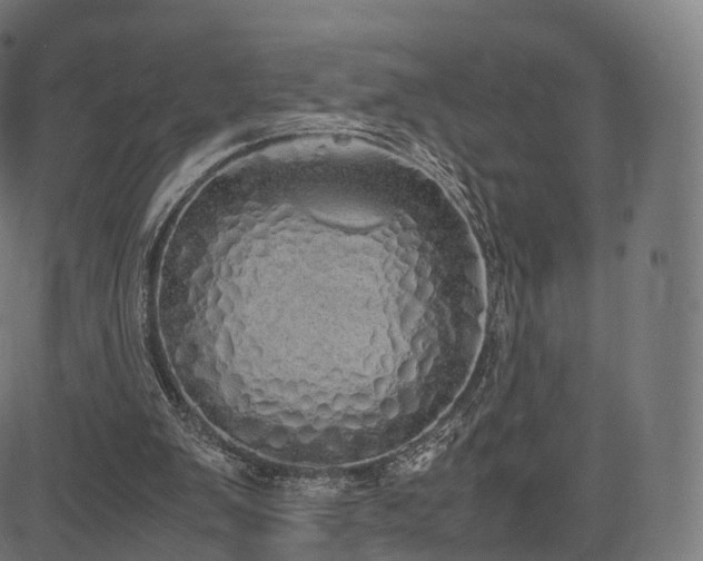 X0000085250103200703091308