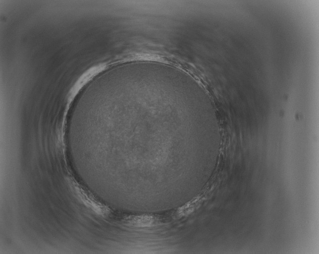 X0000085250104200703091308