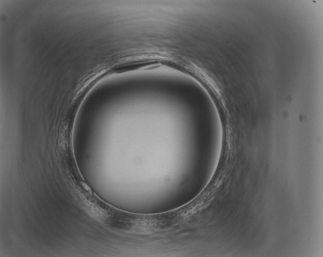 X0000085250105200703091308