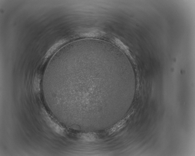 X0000085250106200703091308