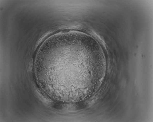 X0000085250107200703091308