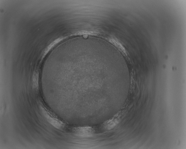 X0000085250108200703091308