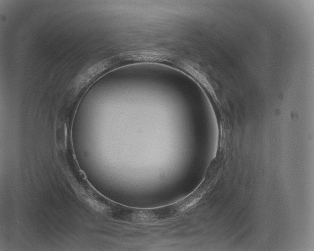 X0000085250109200703091308