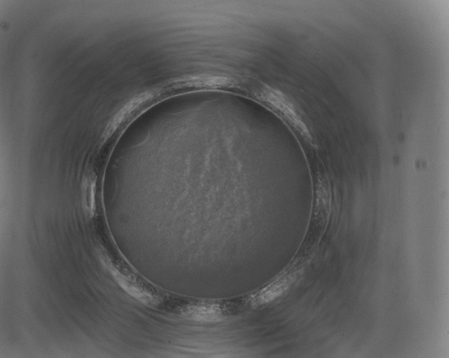 X0000085250110200703091308