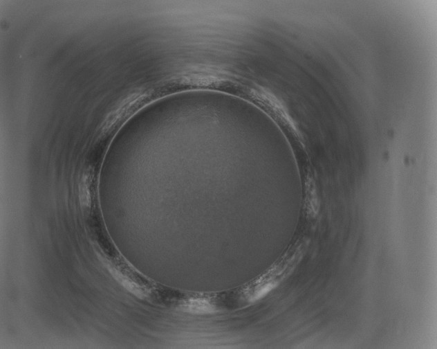 X0000085250114200703091308