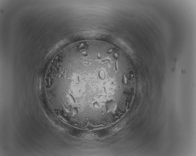 X0000085250115200703091308