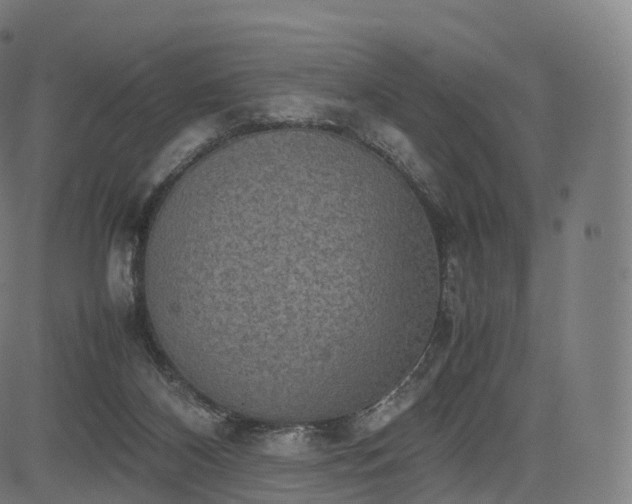 X0000085250116200703091308