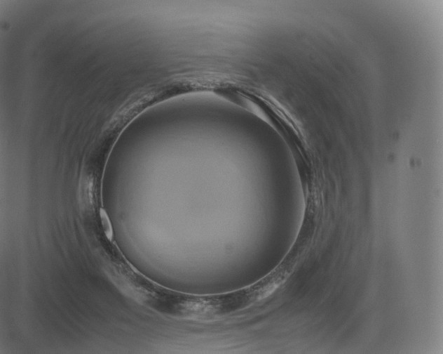 X0000085250117200703091308