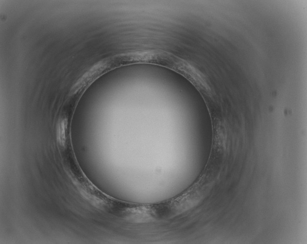 X0000085250118200703091308