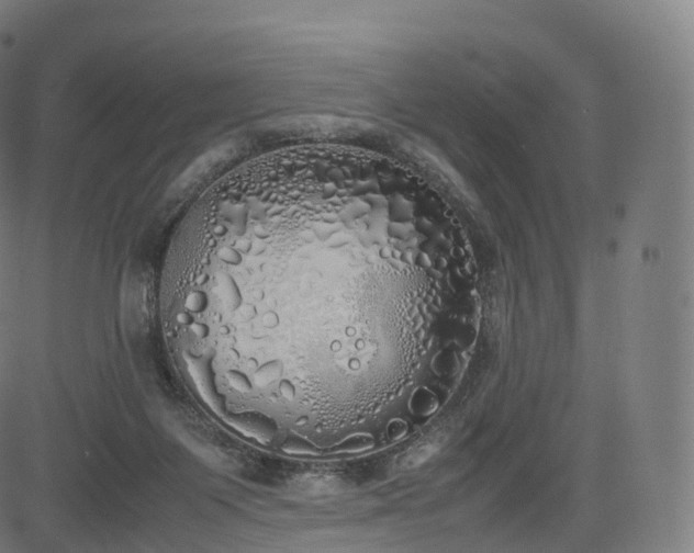 X0000085250119200703091308