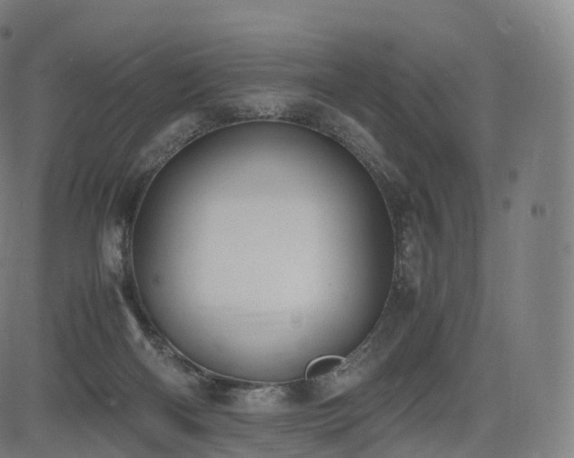 X0000085250122200703091308