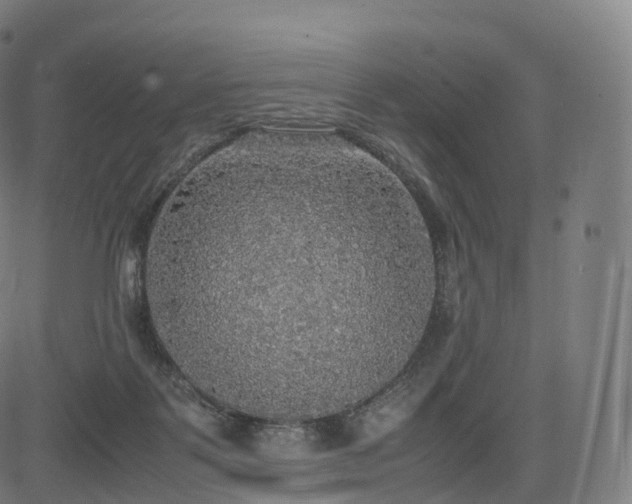 X0000085250123200703091308