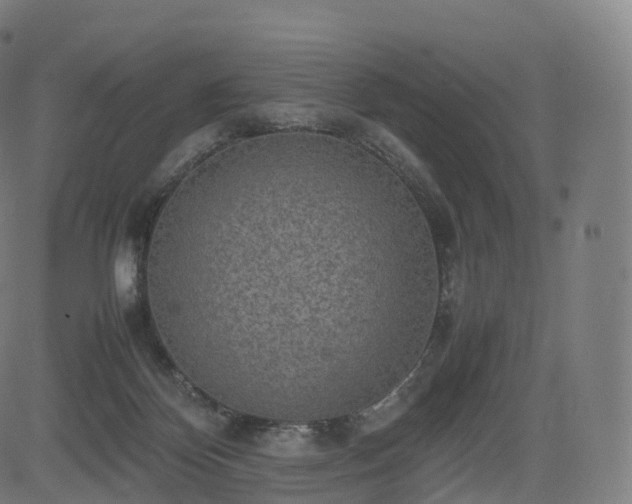 X0000085250124200703091308