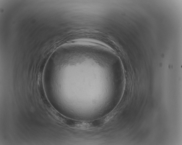 X0000085250125200703091308