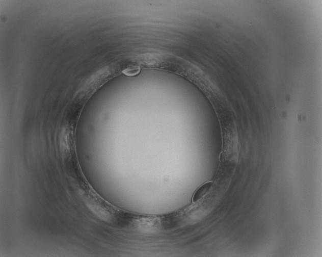 X0000085250126200703091308