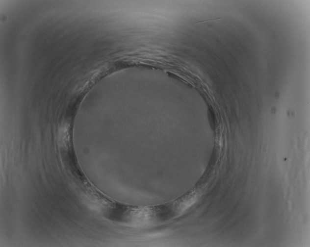 X0000085250127200703091308